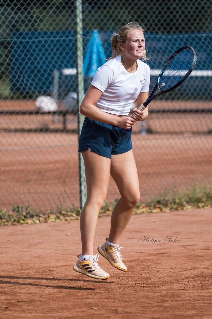 Bild 342 - dreyermedia open